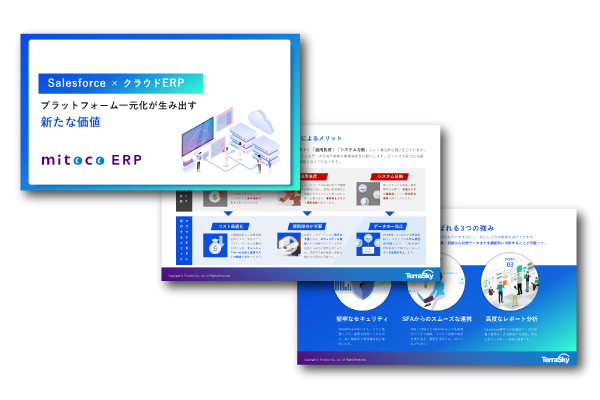 <Salesforce × クラウドERP>プラットフォーム一元化が生み出す新たな価値