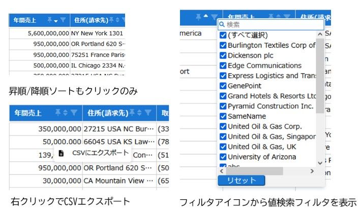 フレキシブルデータテーブルのその他の機能2